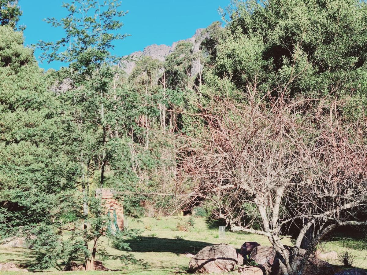Claude Road Roland B&B المظهر الخارجي الصورة