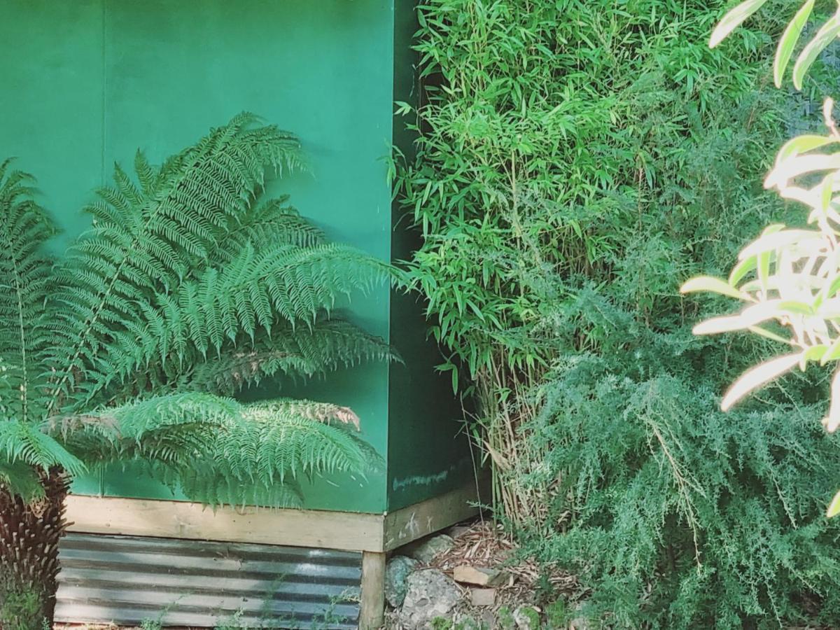 Claude Road Roland B&B المظهر الخارجي الصورة