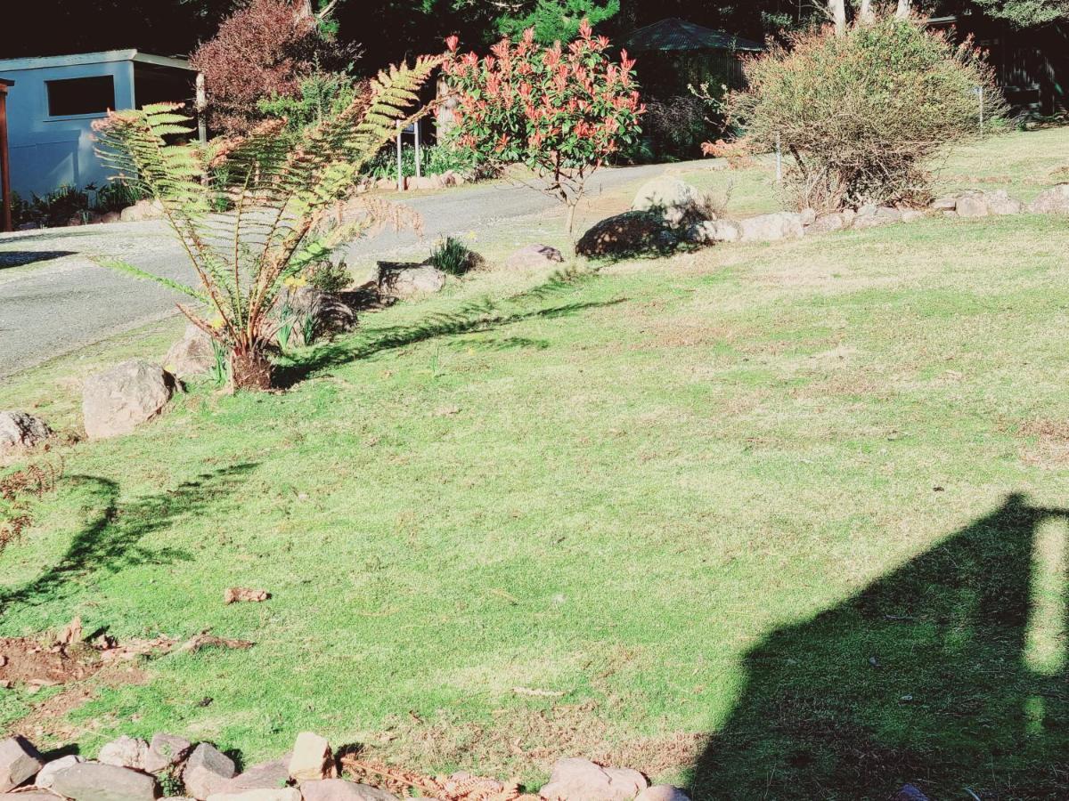 Claude Road Roland B&B المظهر الخارجي الصورة