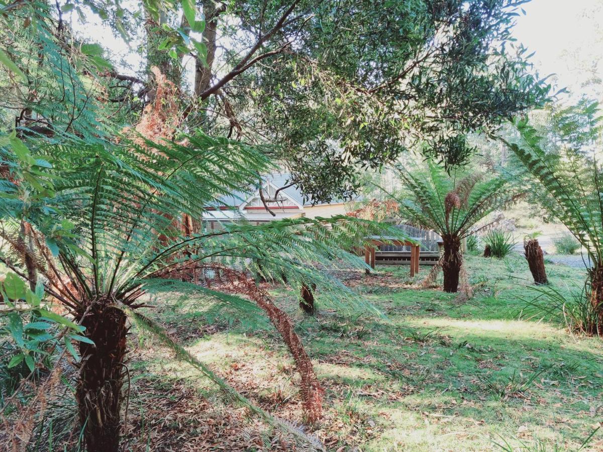 Claude Road Roland B&B المظهر الخارجي الصورة
