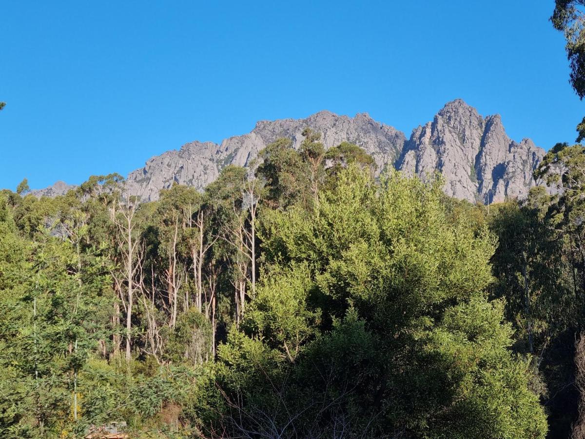 Claude Road Roland B&B المظهر الخارجي الصورة
