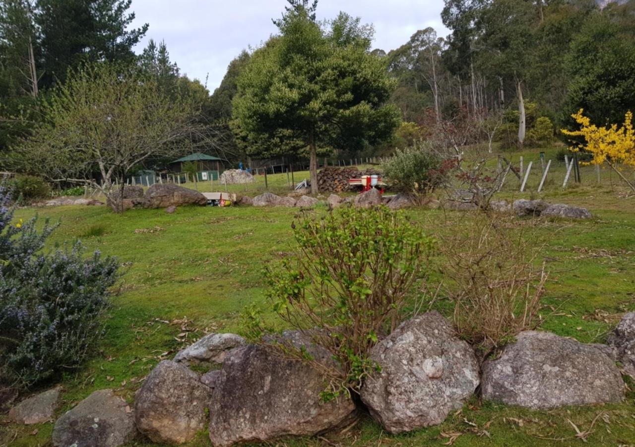 Claude Road Roland B&B المظهر الخارجي الصورة