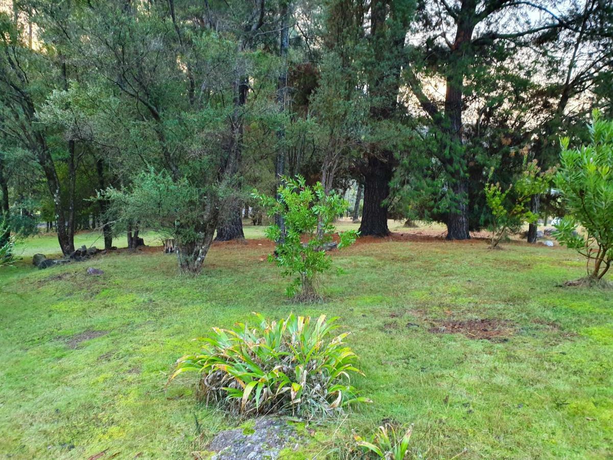 Claude Road Roland B&B المظهر الخارجي الصورة